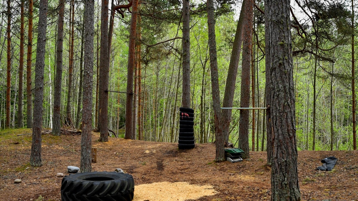 Homemade DIY outdoor gym in the middle of a pine forest with heavy tires and pull-up bars for calisthenics training.